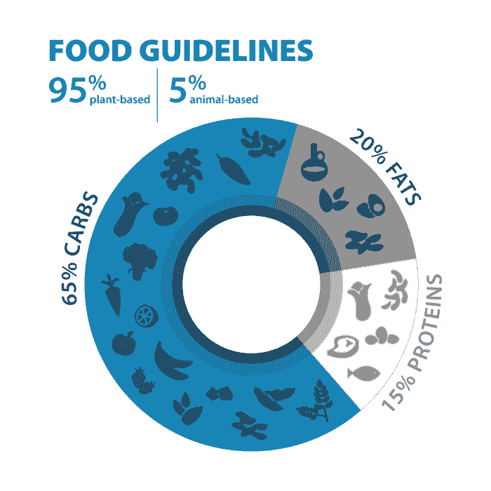 Blue Zones Food Guideline Pie Chart
