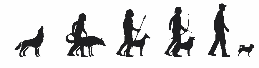 Domestication of human and wolf
