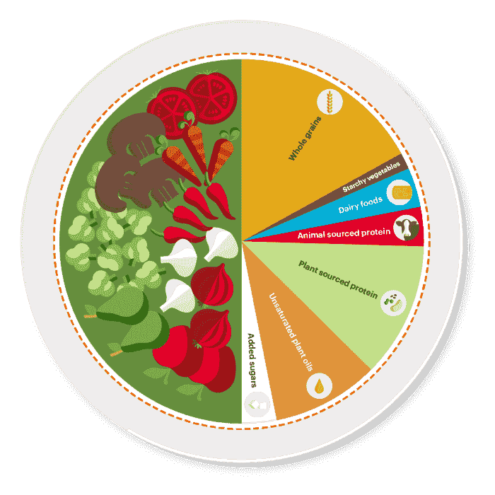 Pie chart of Planetary Health Diet